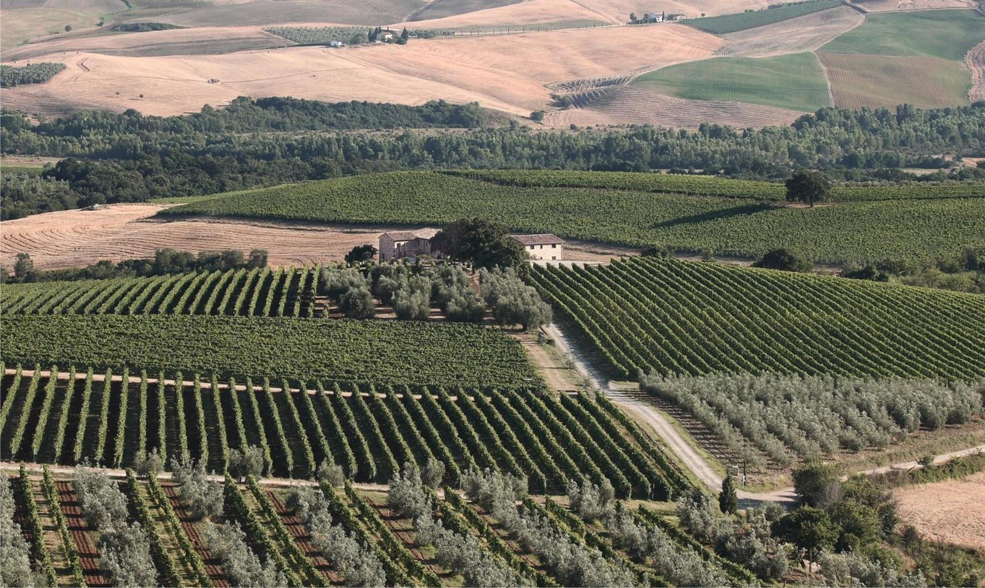 Agriturismo Il Poggione Montalcino Exteriör bild