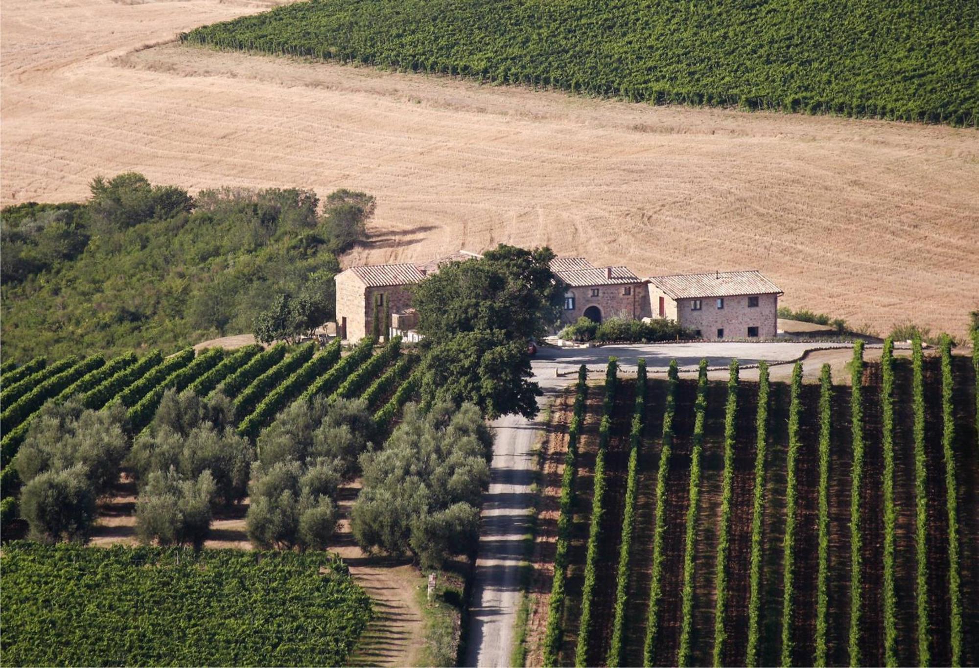 Agriturismo Il Poggione Montalcino Exteriör bild